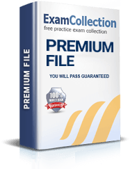 DP-420 Premium File