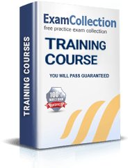 PMI-RMP Training Video Course